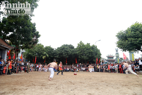 Xem trai làng Thúy Lĩnh vật cầu đầu xuân ảnh 3