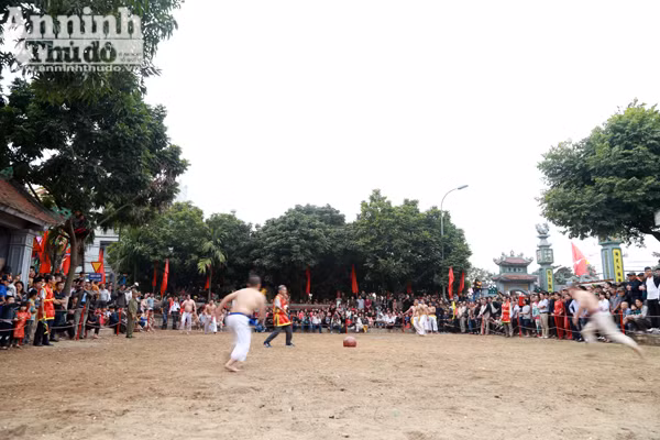 Xem trai làng Thúy Lĩnh vật cầu đầu xuân ảnh 3