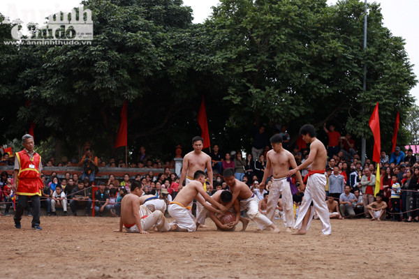 Xem trai làng Thúy Lĩnh vật cầu đầu xuân ảnh 4