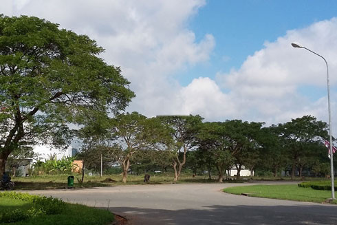 Dịch chuyển ly tâm ảnh 1