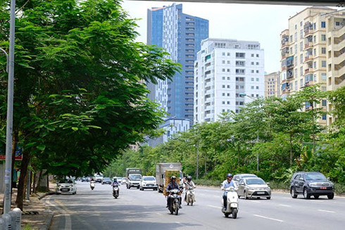 Kỳ tích vì một Hà Nội xanh (3): Phát triển thêm những "ốc đảo" xanh cho người dân Thủ đô ảnh 1