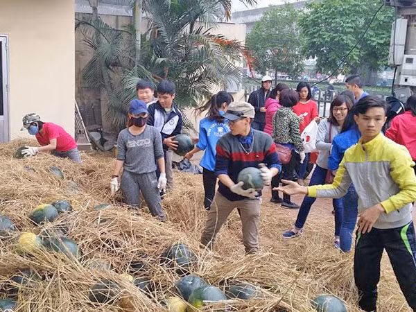 Quy hoạch vỡ, tiêu thụ nông sản bằng... tình thương ảnh 1