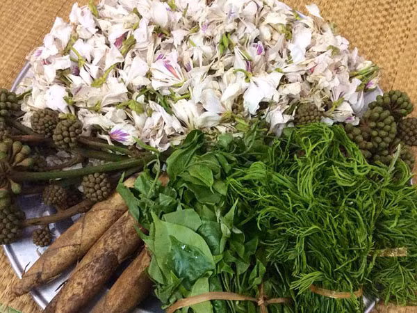 Tháng ba nhớ mùa hoa ban... ảnh 2