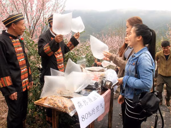 Bán túi khí sạch cho du khách thành thị ảnh 1