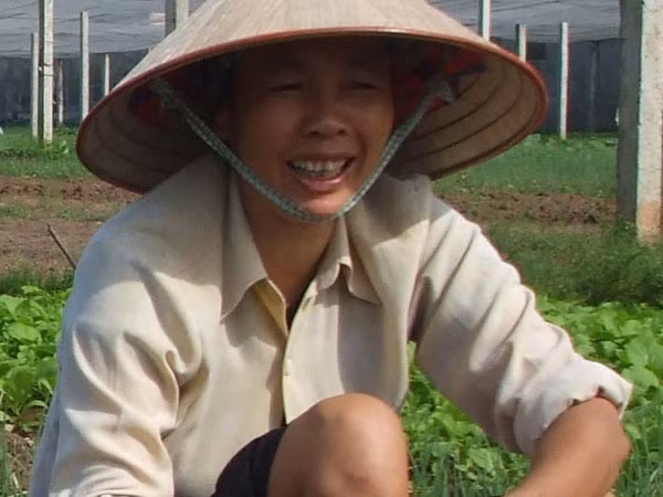 Dồn điền đổi thửa giúp thay đổi tư duy sản xuất ảnh 1