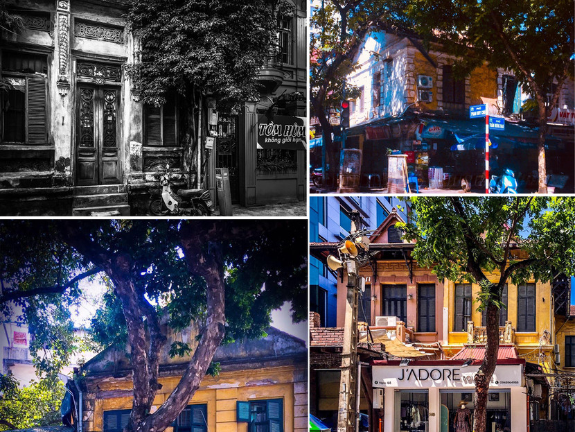 Níu giữ "chứng nhân lịch sử" trong biệt thự cổ Hà Nội (bài 4): Biệt thự - "Cuộc chơi" cần cả tiền và văn hóa ảnh 2