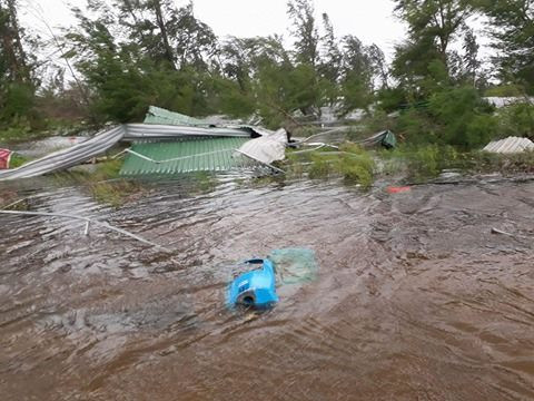 Ảnh hưởng của bão Doksuri, Nghệ An có 1 người chết, 1 người bị thương ảnh 2 Ảnh hưởng của bão Doksuri, Nghệ An có 1 người chết, 1 người bị thương ảnh 2