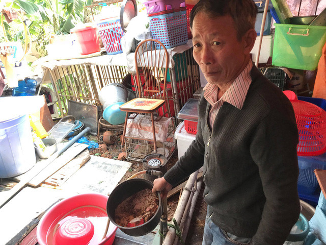  Ông Nguyễn Mạnh Tiến (61 tuổi) cho biết, hàng ngày con khỉ hoang thường xuyên vào trong lán trông coi vườn của nhà ông để phá phách. 