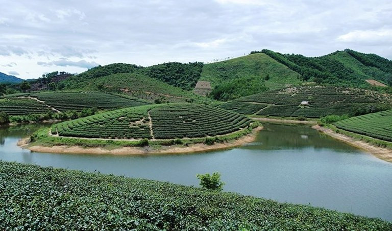 Tắm đập sau khi đi họp hội đồng hương, người đàn ông chết đuối ảnh 1