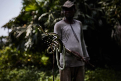 Cuộc khủng hoảng sức khỏe vô hình bị lãng quên ở Congo ảnh 1