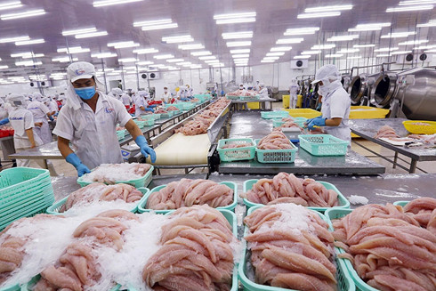 Vượt qua thử thách để bơi ra biển lớn hội nhập ảnh 1