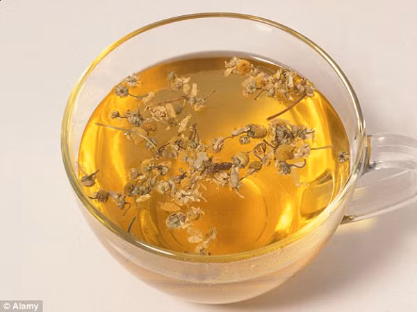 Bí quyết sống lâu nhờ trà hoa cúc ảnh 1