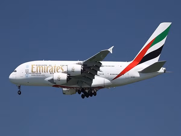 Tiết lộ gây sốc của một cựu phi công hãng hàng không Emirates ảnh 1