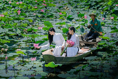 Đừng trách đàn bà mùa sen ảnh 1