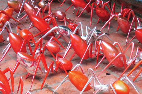 "Kiến" của Đinh Công Đạt bị "đạo", bày công khai ảnh 2