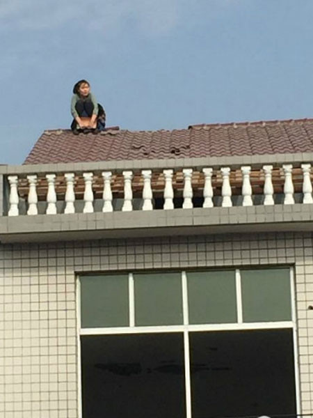 Trèo lên nóc nhà vì chồng đòi ly hôn ảnh 1