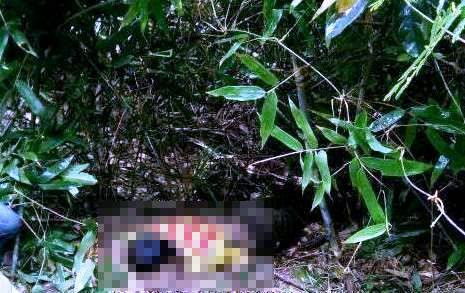 Nam thanh niên ăn lá ngón tự tử vì không xin được tiền học lái xe ảnh 2