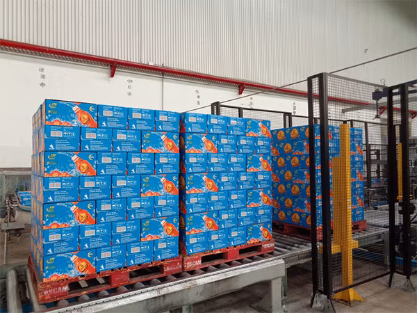 Trà Dr Thanh giúp tăng cường sức khỏe được sản xuất thế nào? ảnh 9