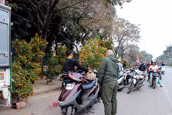 Chiều 30 Tết, Hà Nội vẫn nườm nượp người sắm đào quất ảnh 5 Chiều 30 Tết, Hà Nội vẫn nườm nượp người sắm đào quất ảnh 5