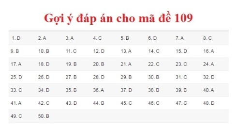 Gợi ý đáp án môn Toán kỳ thi THPT Quốc gia 2017 ảnh 9