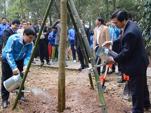 Tuổi trẻ Thủ đô phát động "Tết trồng cây xuân Bính Thân" ảnh 1