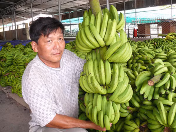 Cầu nối đưa nông sản Việt Nam "xuất ngoại" ảnh 1