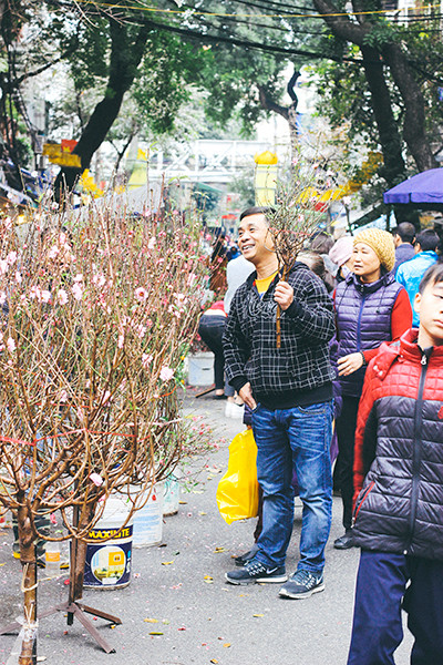 Một vòng chợ hoa Hàng Lược trước thềm Tết Đinh Dậu ảnh 1