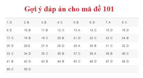 Gợi ý đáp án môn Toán kỳ thi THPT Quốc gia 2017 ảnh 10