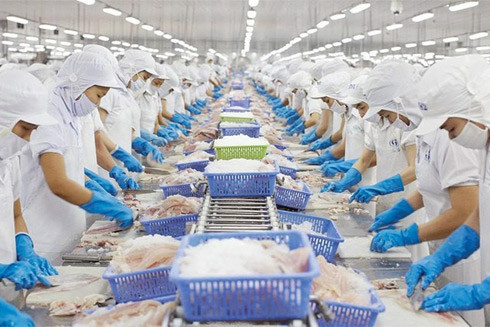 Tăng tuổi nghỉ hưu - ai được lợi? ảnh 1