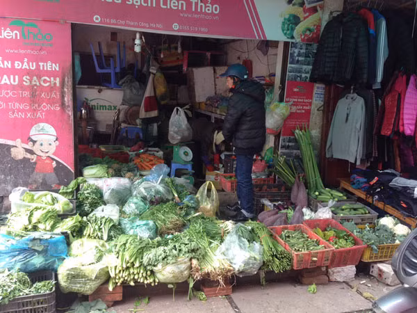 Rau xanh Hà Nội ít biến động ảnh 1