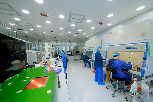 Vingroup cấp 1.100 học bổng du học toàn phần đào tạo Thạc sĩ, Tiến sĩ KHCN ảnh 4