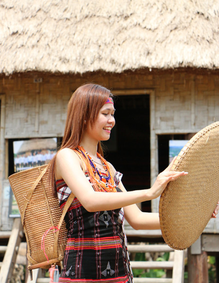 "Hoa rừng" Tây Giang khoe sắc giữa lòng Hà Nội ảnh 2