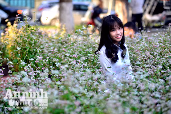 Ấn tượng đôi bạn già tạo dáng 'xì-tin' cùng hoa tam giác mạch bên hồ Gươm ảnh 5