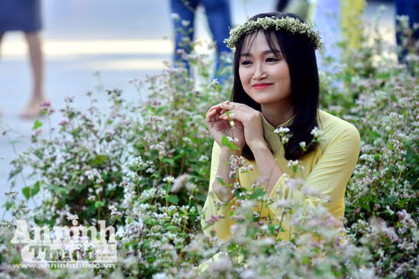 Ấn tượng đôi bạn già tạo dáng 'xì-tin' cùng hoa tam giác mạch bên hồ Gươm ảnh 7