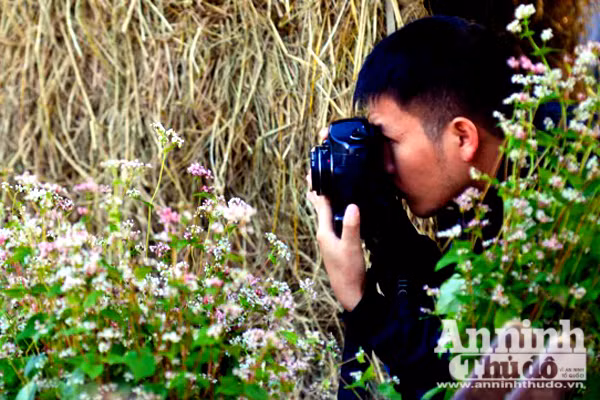 Ấn tượng đôi bạn già tạo dáng 'xì-tin' cùng hoa tam giác mạch bên hồ Gươm ảnh 8