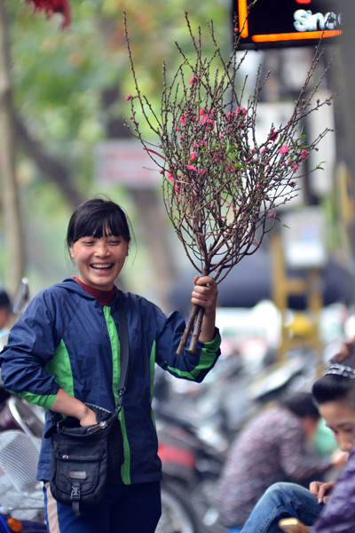 Hoa đào mang xuân xuống phố ảnh 7