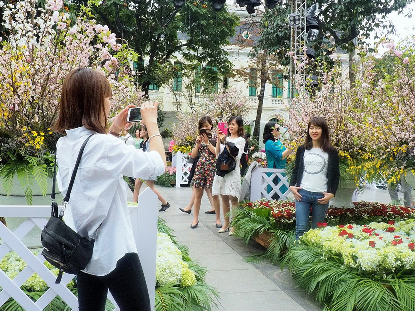 Kéo dài thời gian trưng bày hoa anh đào thêm 1 ngày ảnh 4 Kéo dài thời gian trưng bày hoa anh đào thêm 1 ngày ảnh 4