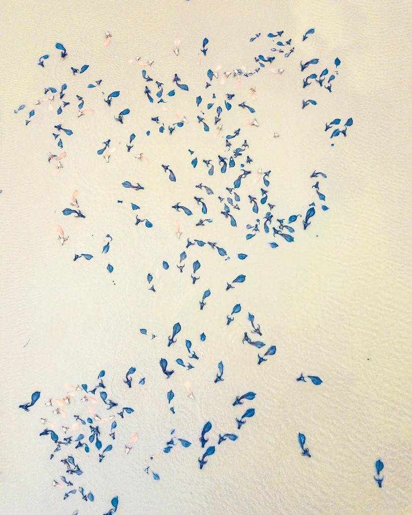 "Ở Hà Nội, mọi người luôn thân thiện và tử tế với tôi!" ảnh 5