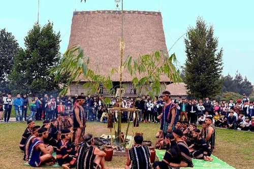 "Mùa xuân và tuổi trẻ": Chuỗi chương trình văn hóa đặc sắc vào tháng 3