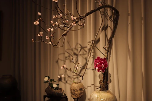 Triển lãm nghệ thuật hoa đạo Nhật Bản Ikebana - "Gió đông"