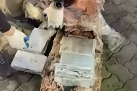 Nga thu giữ hơn nửa tấn cocaine giấu trong... bụng cá