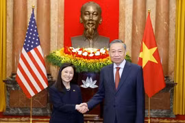 Tổng Bí thư, Chủ tịch nước Tô Lâm tiếp Đại sứ các nước trình Quốc thư