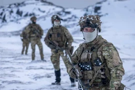 Truyền thông: Đan Mạch đã chuẩn bị cho khả năng Mỹ tấn công Greenland