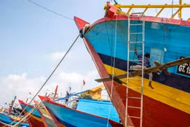 Ngành công nghiệp đánh bắt cá của Indonesia tê liệt vì khủng hoảng Hormuz