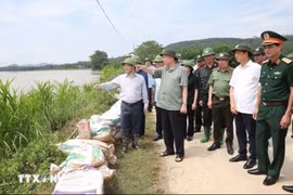 Thư của Tổng Bí thư, Chủ tịch nước Tô Lâm nhân Ngày truyền thống phòng, chống thiên tai