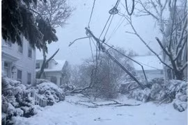 Bão tuyết cực mạnh gây tê liệt giao thông nhiều nơi tại Mỹ 