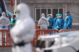 Hà Lan cách ly nhân viên y tế nghi phơi nhiễm, Pháp phát hiện ca Hantavirus đầu tiên