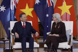 Tổng Bí thư, Chủ tịch nước Tô Lâm hội kiến Toàn quyền Australia