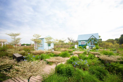 Với diện tích rộng lớn và sự kết hợp giữa thiên nhiên hoang sơ cùng các bối cảnh dàn dựng công phu, các cặp đôi có thể dễ dàng thực hiện nhiều concept khác nhau: từ phong cách vintage, du mục tự do đến sự sang trọng, hiện đại