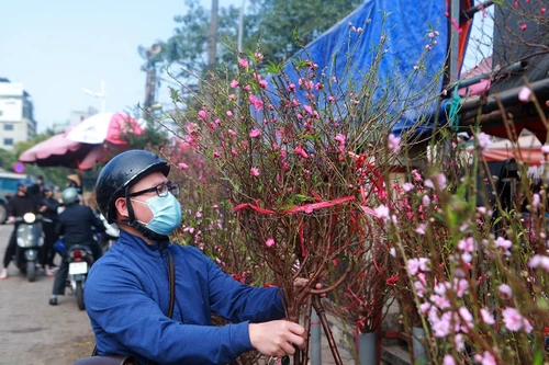 Chợ hoa Hà Nội rộn sắc xuân